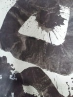 /album/%e3%83%95%e3%82%a9%e3%83%88%e3%82%ae%e3%83%a3%e3%83%a9%e3%83%aa%e3%83%bc/urarakanaharunohi-jpg/