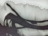 /album/%e3%83%95%e3%82%a9%e3%83%88%e3%82%ae%e3%83%a3%e3%83%a9%e3%83%aa%e3%83%bc/tunami-jpg/