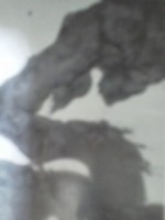 /album/%e3%83%95%e3%82%a9%e3%83%88%e3%82%ae%e3%83%a3%e3%83%a9%e3%83%aa%e3%83%bc/massakasamaniotite-jpg/