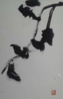 /album/%e3%83%95%e3%82%a9%e3%83%88%e3%82%ae%e3%83%a3%e3%83%a9%e3%83%aa%e3%83%bc/hidamari-jpg/