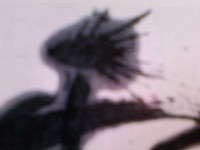 /album/%e3%83%95%e3%82%a9%e3%83%88%e3%82%ae%e3%83%a3%e3%83%a9%e3%83%aa%e3%83%bc/tobihanete-jpg/