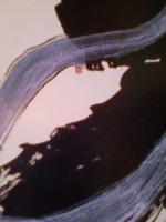 /album/%e3%83%95%e3%82%a9%e3%83%88%e3%82%ae%e3%83%a3%e3%83%a9%e3%83%aa%e3%83%bc/jinseiioriromitiari-jpg/