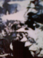 /album/%e3%83%95%e3%82%a9%e3%83%88%e3%82%ae%e3%83%a3%e3%83%a9%e3%83%aa%e3%83%bc/kumoribi-jpg/