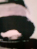 /album/%e3%83%95%e3%82%a9%e3%83%88%e3%82%ae%e3%83%a3%e3%83%a9%e3%83%aa%e3%83%bc/amagisan-jpg/