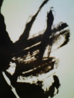 /album/%e3%83%95%e3%82%a9%e3%83%88%e3%82%ae%e3%83%a3%e3%83%a9%e3%83%aa%e3%83%bc/omoosidashi-jpg/